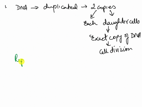 the-duplication-of-dna-chromosomes-in-a-cell-prior-to-cell-division-is-called-a-dna-repair-b-translation-replication-transcription-question-10-1-point-genes-are-sections-of-dna-which-can-cod-25462