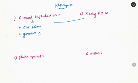 which-process-is-not-seen-in-prokaryotes-a-meiosis-b-protein-synthesis-c-binary-fission-d-asexual-reproduction-14702