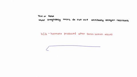 true-or-false-most-pregnancy-tests-do-not-use-antibody-antigen-reactions