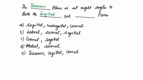 the-plane-is-at-right-angles-to-both-the-and-planes-sagittal-midsagittal-coronal-lateral-coronal-sagittal-coronal-sagittal-transvers-medial-coronal-transvers-transverse-sagittal-coronal-40411