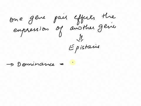 a-phenomenon-in-which-one-gene-pair-affects-the-expression-phenotype-of-another-gene-pair-is-called-co-dominance-dihybridization-incomplete-dominance-epistasis-gene-penetrance-97643
