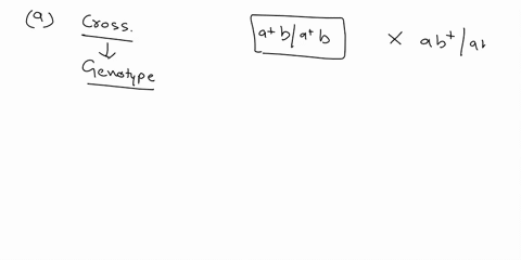 diagram-the-cross-and-show-the-gametes-produced-by-each-parent-and-the-genotype-of-the-f-6-what-gametes-can-the-f-produceand-in-what-proportions-c-if-the-f-was-crossed-to-bla-b-individuals-w-75315