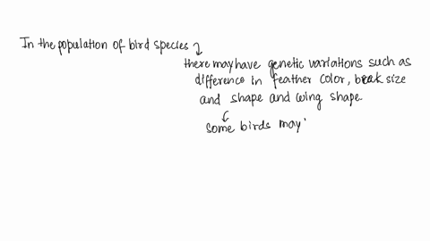pretend-you-are-a-scientist-observing-three-different-varieties-of-a-single-bird-species-that-are-part-of-the-same-population-in-three-to-five-sentences-describe-what-genetic-variations-exis-03583