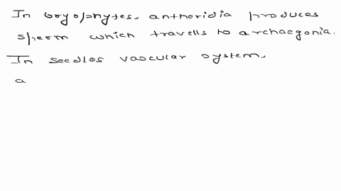 wnicn-of-tne-tollowing-is-a-similarity-between-pryopnytes-ana-seedless-vascular-plants-plants-in-both-groups-have-true-roots-stems-and-leaves-in-both-groups-sperm-swim-from-antheridia-to-arc-95356