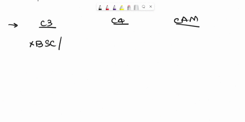examples-of-c3-c4-and-cam-plants-03093