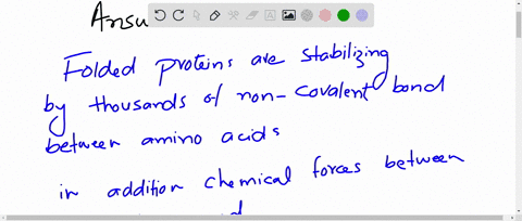 as-a-protein-folds-what-are-the-stabilizing-forces-that-help-keep-the-protein-folded-hydrophilic-amino-acids-on-the-interior-and-hydrophobic-amino-acids-on-the-exterior-increase-in-entropy-i-81357