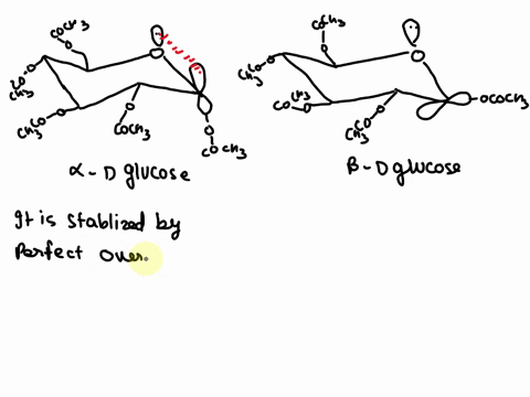 it-may-be-surprising-that-d-glucose-pentaacetate-is-more-stable-than-the-isomer-because-the-isomer-has-its-anomeric-acetate-group-in-the-sterically-less-favorable-axial-position-this-stabili-86146