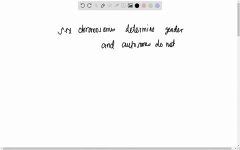 what-is-the-difference-between-autosomes-and-sex-chromosomes-1-point-autosomes-are-not-found-in-gametes-but-sex-chromosomes-are-sex-chromosomes-are-found-in-animal-cells-and-autosomes-are-fo-36931