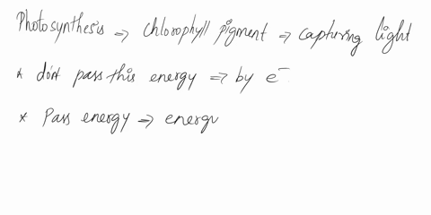 question-4-25pts-in-photosynthesis-the-chlorophyll-pigments-that-initially-capture-energy-from-light-pass-this-energy-from-one-chlorophyll-molecule-to-another-by-passing-electrons-true-false-90963