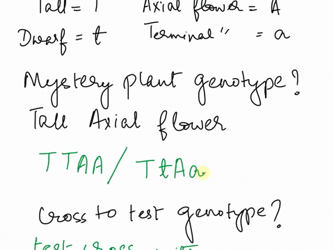 you-are-handed-a-mystery-pea-plant-with-tall-stems-and-axial-flowers-and-asked-to-determine-its-ge-2-07963