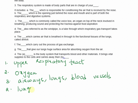 1-the____-is-composed-of-the-nasal-cavity-pharynx-larynx-trachea-bronchi-and-lungs-2-the-primary-function-of-the-respiratory-system-is-to-supply-the-blood-with____-to-all-parts-of-the-body-3-89494
