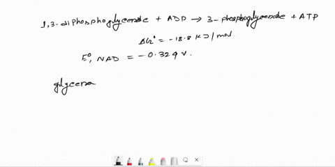7-the-reaction-glyceraldehyde-3-phosphate-nad-pia-13-diphosphoglycerate-nadh-h-has-ii-63-kj-mol-1-if-the-standard-reduction-poten-tial-e-of-nad-is-0324-v-and-the-reaction-13-diphosphoglycera-18025