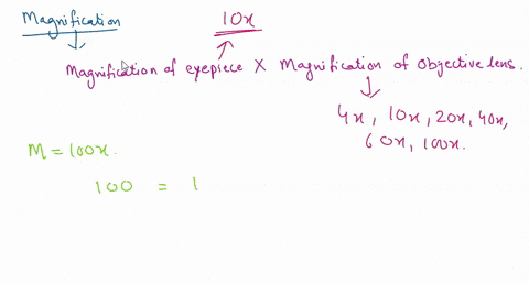 just-would-like-someone-to-tell-me-if-this-is-correct-thanks-if-the-total-magnification-is-100x-what-is-the-magnification-of-the-objective-lens-answer-10x-if-the-total-magnification-is-40x-w-07368