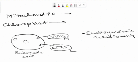 why-are-mitochondria-and-chloroplasts-unique-statement-refers-eukaryotes-relers-t0-prokaryotes-and-a-e-fthe-directions-write-p-if-the-statemente-the-statement-refers-to-both-prokaryotes-ad-e-12354