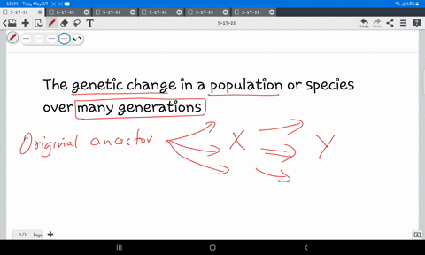 the-genetic-change-in-a-population-or-species-over-many-generations-is-gene-flow-genetic-drift-evolution-natural-selection-70686