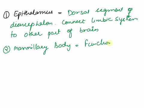 which-structure-is-highlighted-epithalamus-mammillary-body-corpora-quadrigemina-pineal-gland-84512