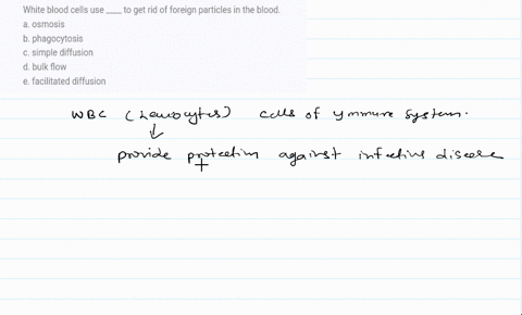 white-blood-cells-use-____-to-get-rid-of-foreign-particles-in-the-blood-a-osmosis-b-phagocytosis-c-simple-diffusion-d-bulk-flow-e-facilitated-diffusion-59946