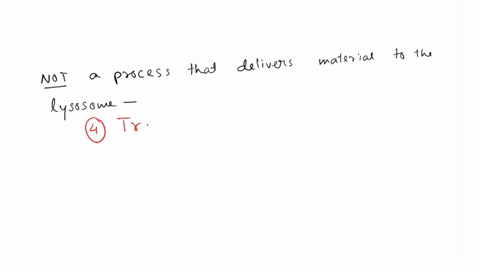 question-13-1-pts-which-of-the-following-is-not-a-process-that-delivers-material-to-the-lysosome-autophagy-phagocytosis-pinocytosis-transcytosis-41386