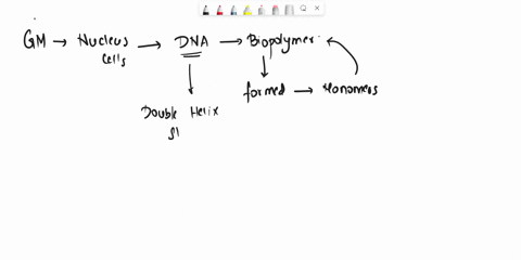 dna-nucleotides-are-made-up-of-a-sugar-a-phosphate-group-a-phosphate-group-a-nitrogenous-base-a-sugar-a-phosphate-group-a-nitrogenous-base-a-phosphate-group-a-nitrogenous-base-an-exon-98888