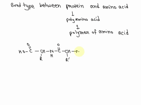 what-type-of-bond-joins-amino-acids-into-proteins-a-glycosidic-bond-b-hydrogen-bond-c-ester-bond-d-amide-bond-27435