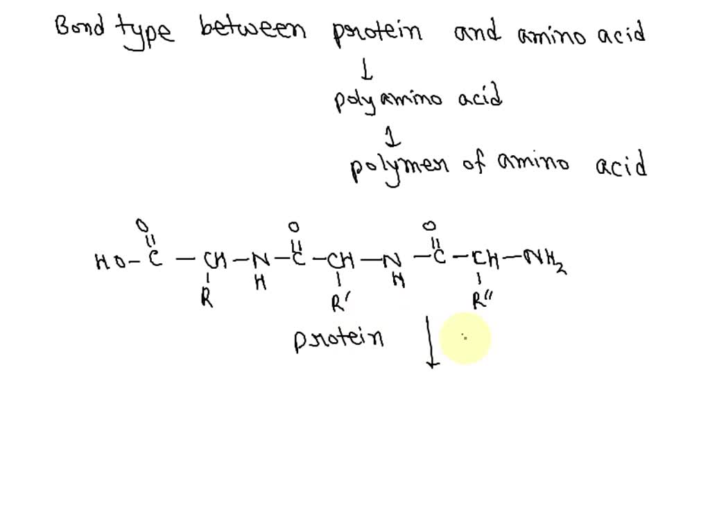 SOLVED Name the covalent bond between the amino acids in collagen