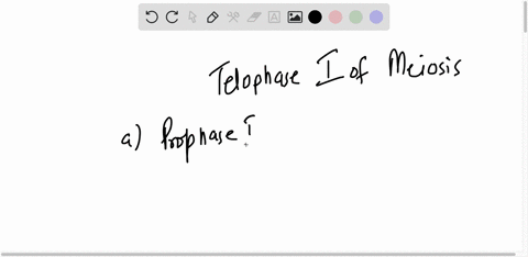 which-of-the-following-is-the-best-description-of-telophase-of-meiosis-the-chromosomes-condense-the-spindle-apparatus-forms-sister-chromatids-align-the-nuclear-envelope-reforms-le-29214
