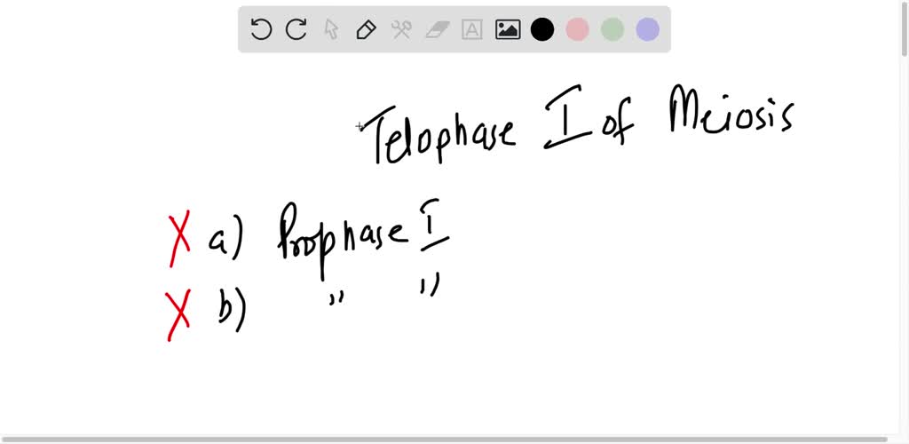 SOLVED Which of the following is the best description of telophase