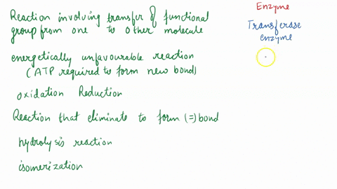 match-each-enzyme-class-to-the-type-of-reactions-catalyzed-reactions-involving-the-transfer-of-functional-group-from-onc-molecule-to-another-energetically-unfavornble-reactions-that-require-19422