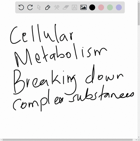 explain-the-function-of-cellular-metabolism-27585