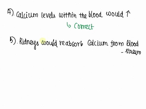 which-of-the-following-would-be-a-possible-result-if-calcitonin-suddenly-was-no-longer-produced-if-more-than-one-option-is-a-possibility-select-all-that-apply-a-calcium-levels-within-the-blo-28962