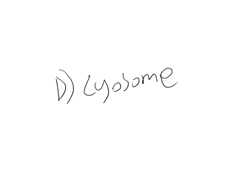 05-points-question-29-this-celluar-organelle-is-responsible-for-breaking-down-unneeded-cellular-maberial-such-at-autophagy-and-autolysis-a-peroxivome-b-rough-er-c-miochondria-d-lysuame