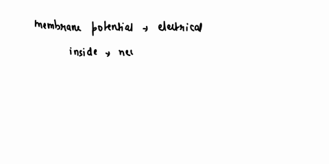 during-the-resting-membrane-potential-the-inside-of-the-neuron-is-__________-while-the-outside-is-_________-a-positive-negative-b-negative-positive-c-negative-negative-d-positive-positive-70673