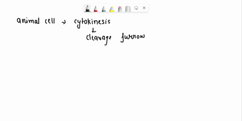 complete-the-following-table-contrasting-cytokinesis-in-plant-and-animal-cells-animal-cell-plant-cell-cleavage-furtow-cell-plate-96057