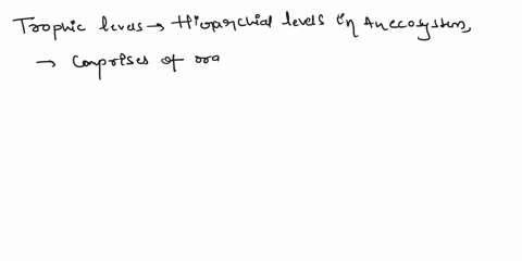 what-are-trophic-levels-give-example-of-food-chain-and-state-different-trophic-levels-in-it-82648