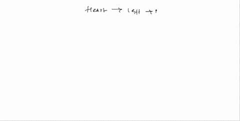 blood-and-the-heart-experiment-5-virtual-model-the-heart-post-lab-questions-what-component-of-the-heart-separates-the-left-and-right-ventricles-the-septum-which-is-more-superior-the-arch-of-91358