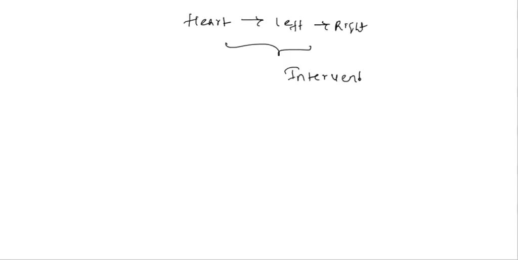 SOLVED Experiment 6 Sheep Heart Dissection Lab Questions Provide your