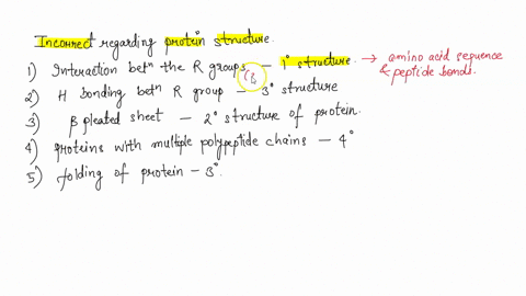 which-of-the-following-statements-is-incorrect-regarding-protein-structure-the-interaction-between-various-r-groups-of-amino-acids-determines-the-primary-structure-of-protein-hydrogen-bondin-13407