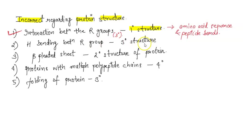 Which Of The Following Statements Concerning Protein Structure Is Incorrect SOLVED: Which of the following statements is incorrect regarding