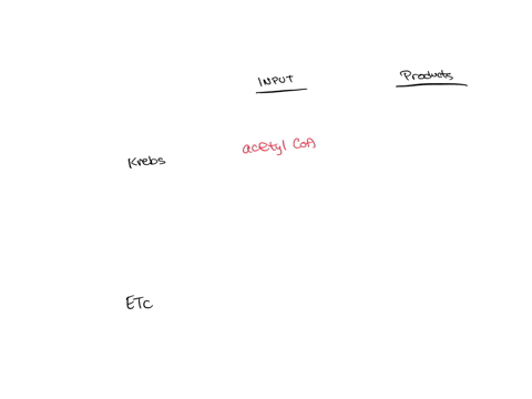 question-2-select-the-correct-input-reactants-for-the-processes-below-glycolysis-glucose-pyruvate-oxidation-pyruvate-krebsicacitrate-cycle-acetyl-coa-electron-transport-chain-nad-question-3-24155