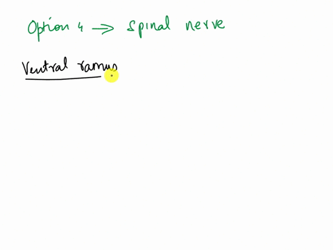 what-is-the-right-answer-for-this-question-02-question-2-afferent-neurons-traveling-through-the-ventral-anterior-ramus-will-then-travel-through-the-ventral-anterior-root-ventral-horn-dorsal-55065