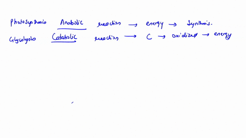 answers-are-either-anabolic-or-catabolic-photosynthesis-is-an-_____________-reaction-where-energy-is-invested-in-the-synthesis-molecules-atp-nadh-trios-phosphates-glycolysis-is-an-__________-75174