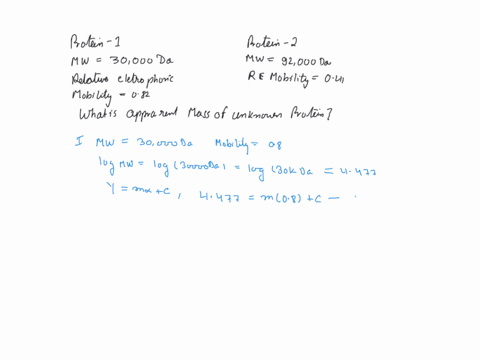 polyacrylamide-gel-electrophoresis-is-used-to-separate-molecules-by-molar-mass-according-to-their-electric-mobilities-the-natural-log-of-the-molecular-weight-of-a-protein-on-an-sds-page-elec-68246