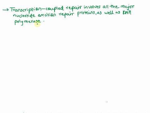 wvhich-one-of-the-following-statements-is-true-regarding-transcription-coupled-pair-transcription-coupled-repair-occurs-only-during-s-phase-of-the-cell-cycle_-transcription-coupled-repair-oc-33686