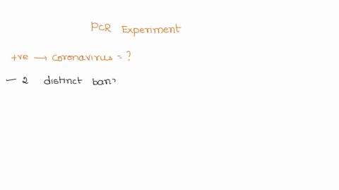 4-6-points-whenever-you-perform-a-pcr-experiment-to-test-for-the-presence-of-a-gene-you-generally-include-several-control-samples-to-ensure-you-can-accurately-interpret-the-results-below-is-11356
