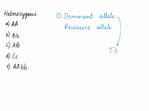 question-3-01-pts-which-of-the-following-genotypes-is-considered-heterozygous-select-all-the-answers-that-apply-0-aa-bb-ab-cc-aabb-06241