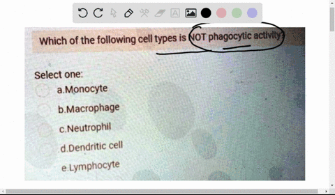 which-of-the-following-cell-types-is-not-phagocytic-activiiy-select-one-a-monocyte-b-macrophage-neutrophil-d-dendritic-cell-e-lymphocyte-97297