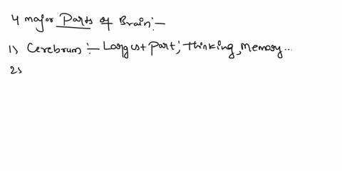 define-the-four-major-parts-of-brain-89712