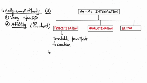 antibodies-are-going-to-come-in-contact-with-an-antigen-and-create-an-interaction-please-choose-three-and-discuss-what-types-of-situations-they-would-be-present-in-17898