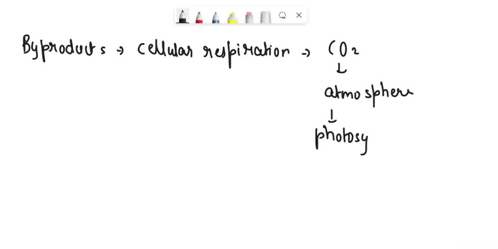 SOLVED The gas given off as a by product of cellular respiration is