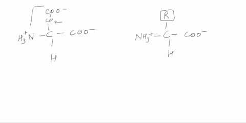 coo-ch2-hzn-c-coo-h-the-r-group-of-this-amino-acid-is-select-one-polar-b-non-polar-basic-d-acidic-35487